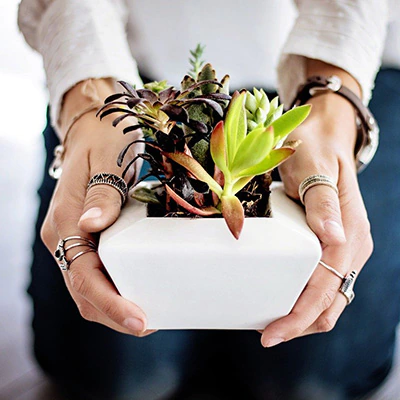 Nurturing Building Block