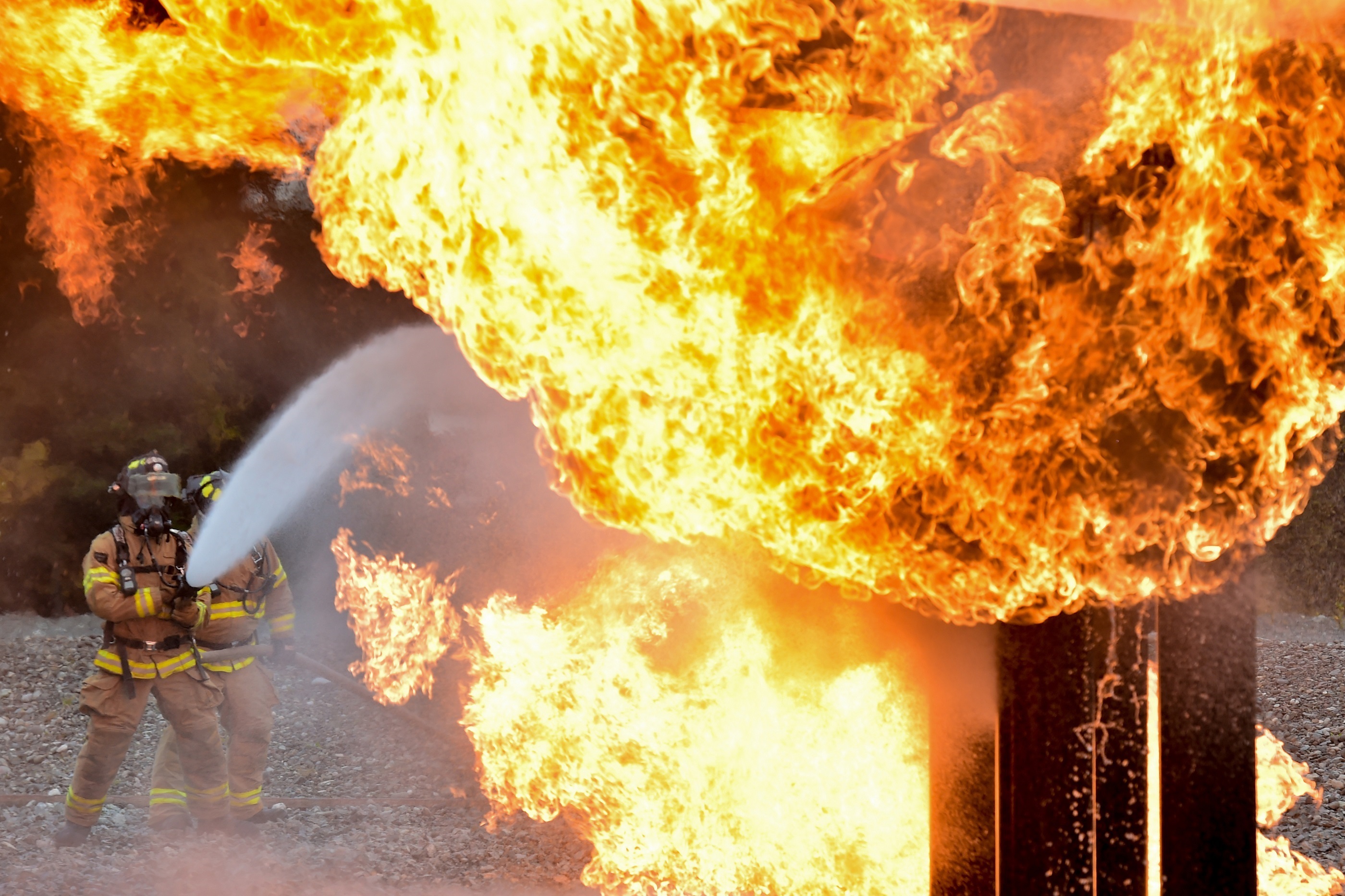 action essentials 2 free download fire